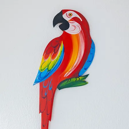 Appartamento Tropical House Carvoeiro (Lagoa)